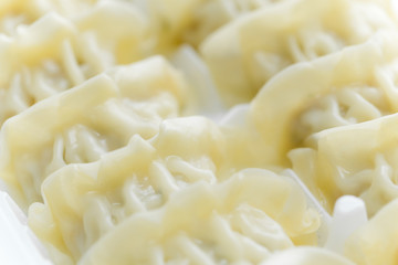 Chinese Meat dumpling