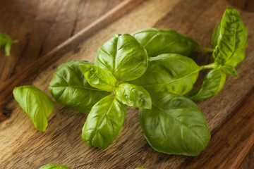 Raw Organic Green Basil