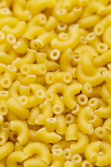 Macaroni pasta close up