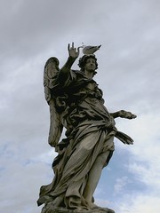 Gabbiano in testa ad un angelo