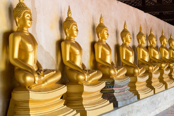Group of golden buddha
