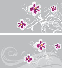 Decorative backgrounds with stylized pelargonium flowers