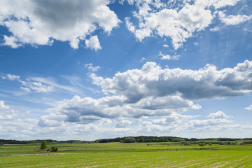 Agricultural landscape.