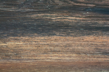 Old retro wood surface