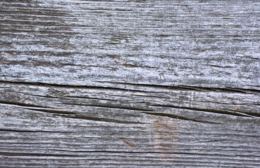 Fototapeta premium Old retro wood surface