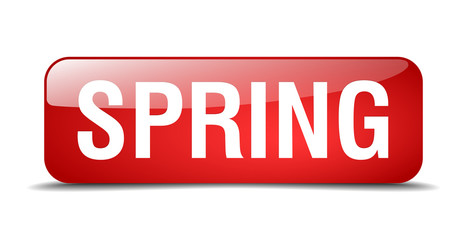 spring red square 3d realistic isolated web button