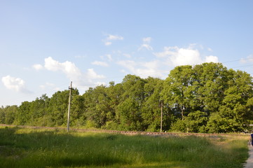 Лето на брянской земле