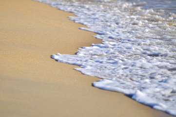 selective focus of close up waves at the beach