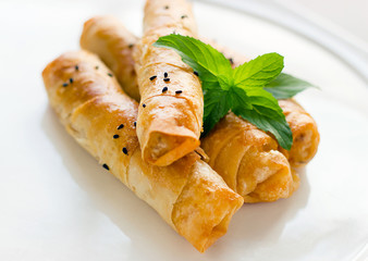 Freshly baked cheese pie from the oven