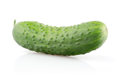 Fresh Cucumber on white background