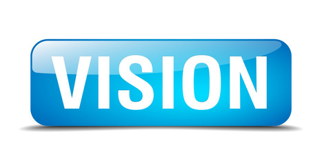 vision blue square 3d realistic isolated web button