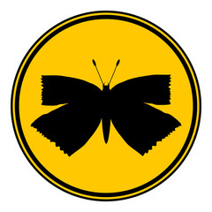 Butterfly button.