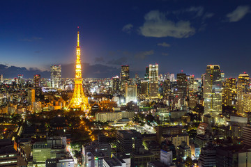 Fototapeta na wymiar Tokyo City Skyline