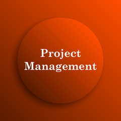 Project management icon