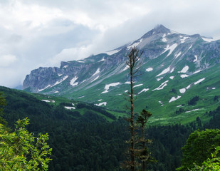 Beautiful valley in the Caucasus mountains