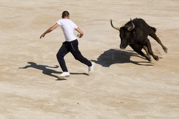 Papier peint photo Tauromachie Corrida  © C. Schüßler