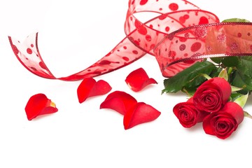 Rose, Red, Valentine's Day.