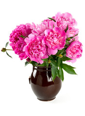 peonies in a clay vase over white