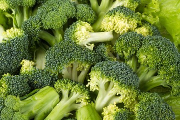 Broccoli, Vegetable, Backgrounds.