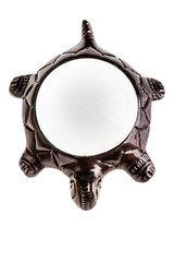 Turtle magnifying glass