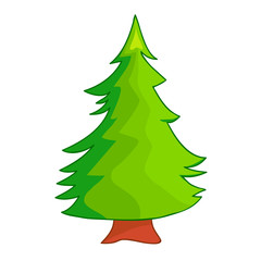 Christmas tree isolated illustration