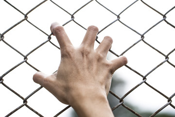 Hands holding on chain link fence