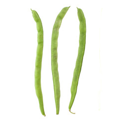 Fresh yardlong bean isolated on white background