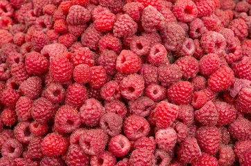 background of raspberries