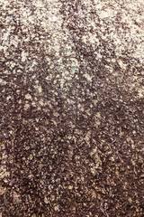 Brown stone texture