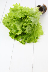 Fresh lettuce