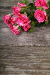 Beautiful pink roses