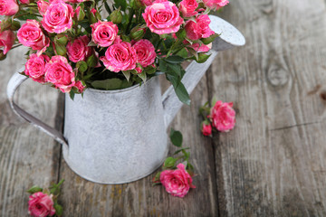 Bouquet of pink roses  in watering can