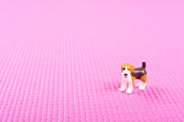 ピンクの背景と小さい犬
