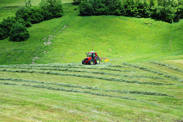 tractor in meadows
