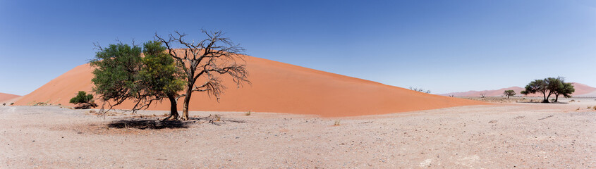 wide panorama Dune 45 in sossusvlei Namibia