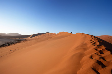 Fototapeta na wymiar dune in Hidden Vlei in Namib desert