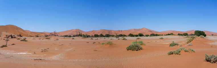 beautiful landscape of Hidden Vlei in Namib desert panorama