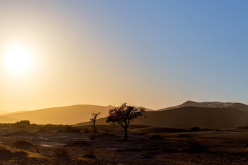 Fototapeta na wymiar beautiful landscape of Hidden Vlei in Namib desert
