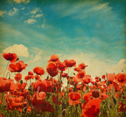 Field of poppies against blue sky with white clouds. Added paper texture. Photo in retro style. ..