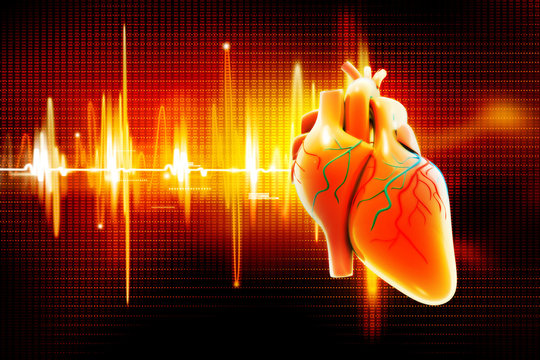 Digital illustration of Human heart