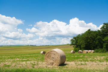La campagna verde a Cortona , in Toscana