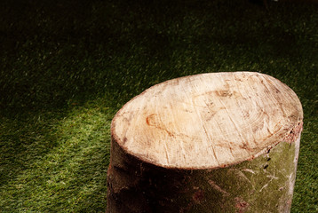 Sawn off wooden tree stump in a garden - obrazy, fototapety, plakaty
