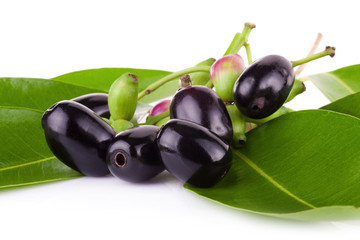 Jambolan plum or Java plum on white background