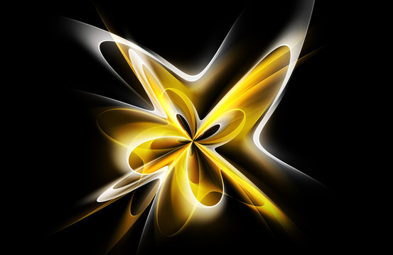 Fototapeta Modern Orange White Flower  Light Abstract Waves Background