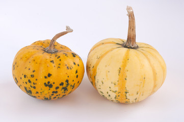 Pumpkins 