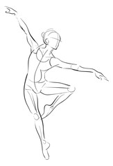 Female anatomy drawing sketch