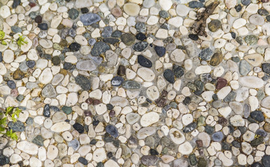 background texture walkway lined with small colorful stones