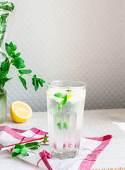 lemon water with ice and fresh mint, summer drink