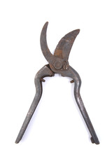 Old rusty garden pruner open..