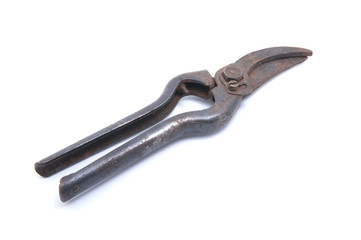 Old rusty garden pruner..